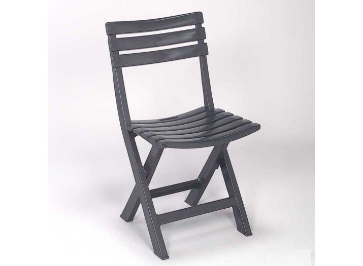 Birki Folding Chair Anth